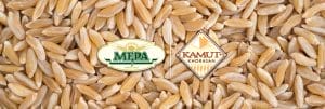 mepa alimentari farina grano khorasan kamut biologico