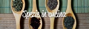 mepa alimentari ingrosso spezie cucina