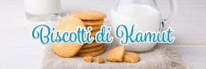 mepa alimentari ricetta blog biscotti kamut grano khorasan biologico