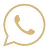 whatsapp official logo png download 1
